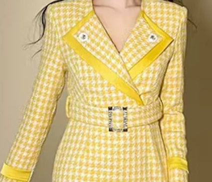 Elegant Tweed Dress